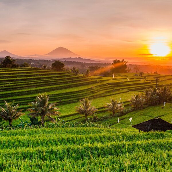 Fedezzük fel Bali szigetét! Mutatunk néhány népszerű látnivalót – Premio Travel magazin