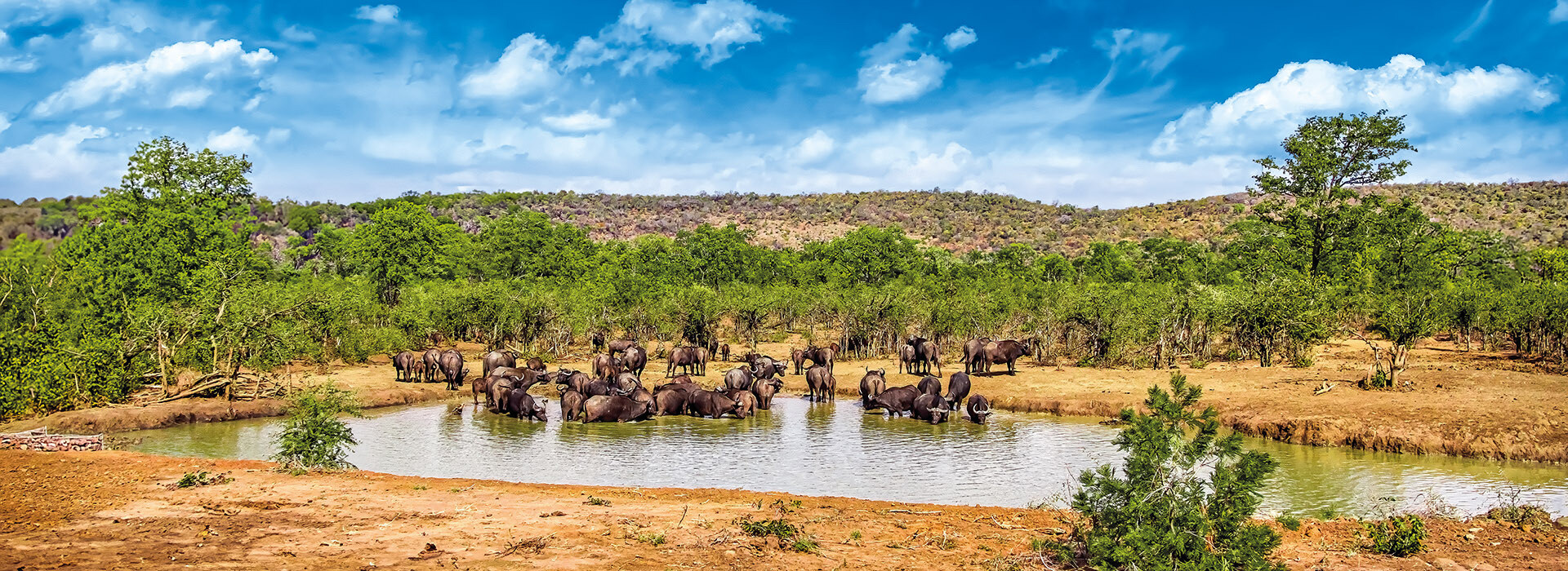 Kenya-Tanzánia – desztináció illusztráció